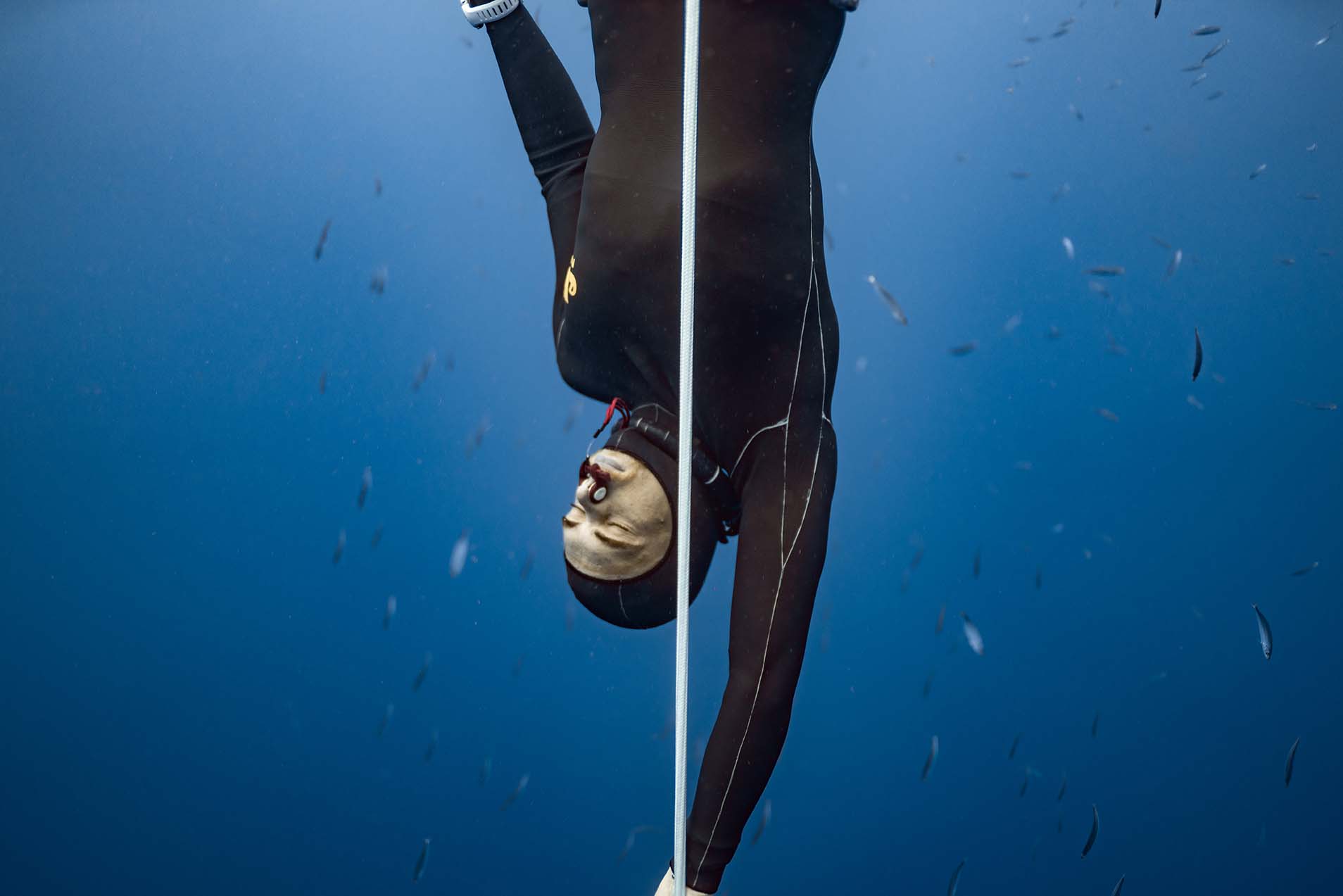 Freedive Training